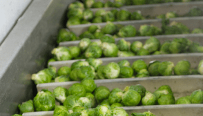 Jual Apron Conveyor dan Jasa Fabrikasi Spareparts Conveyornya